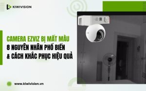 camera Ezviz bị mất màu