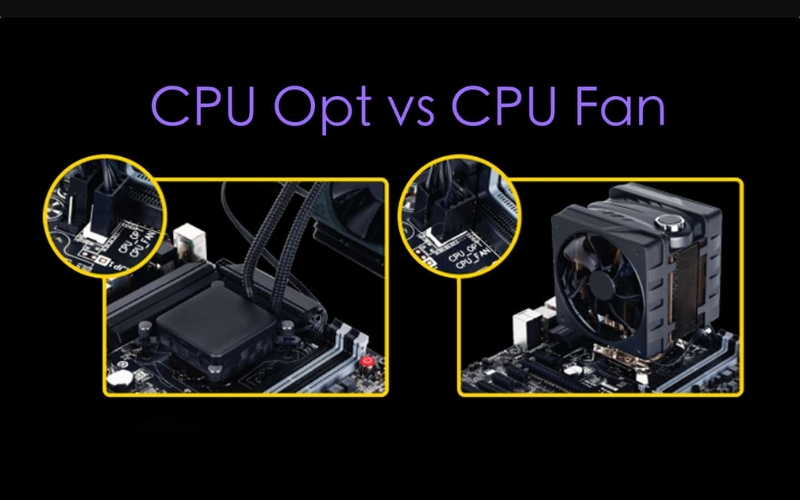 So sánh sự khác biệt giữa CPU OPT và CPU FAN