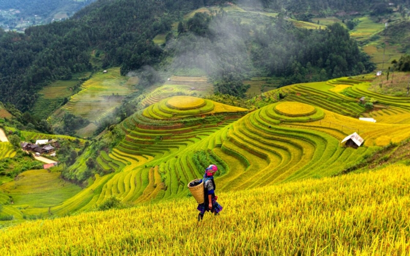 Khi nào nên đi du lịch tự túc