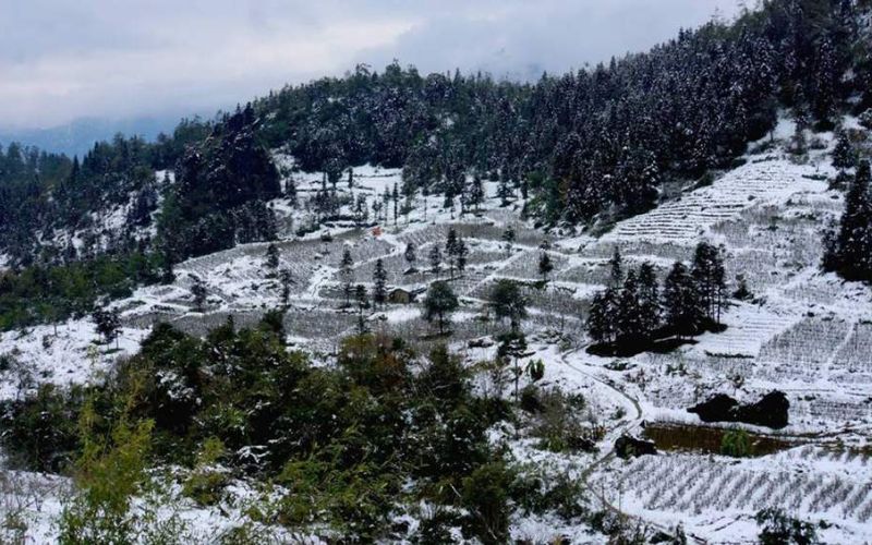 Đón mùa tuyết trắng trời