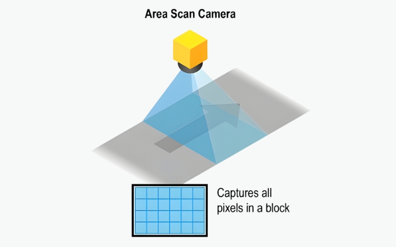 Area Scan Camera