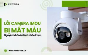 camera IMOU bị mất màu