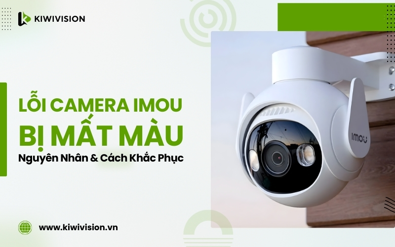 camera IMOU bị mất màu