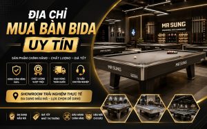 địa chỉ mua bàn bida uy tín